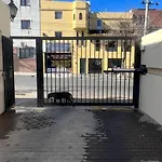 La Zuvi