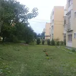 Rinconcito Huaico