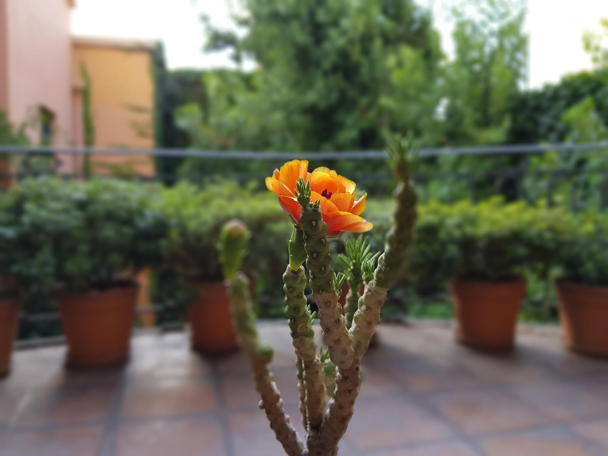 Hotel Legado Mitico Boutique Salta