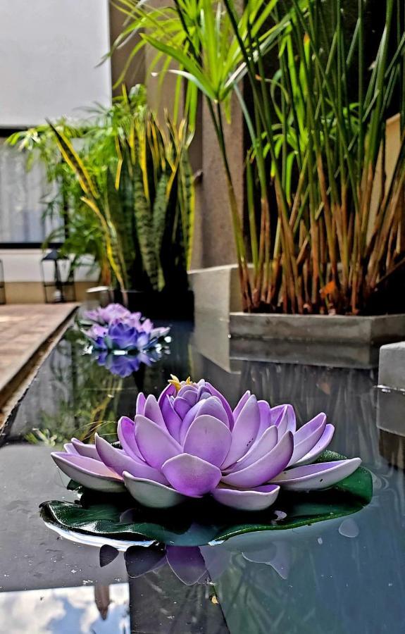 Mg Design Boutique (adults Only) Salta