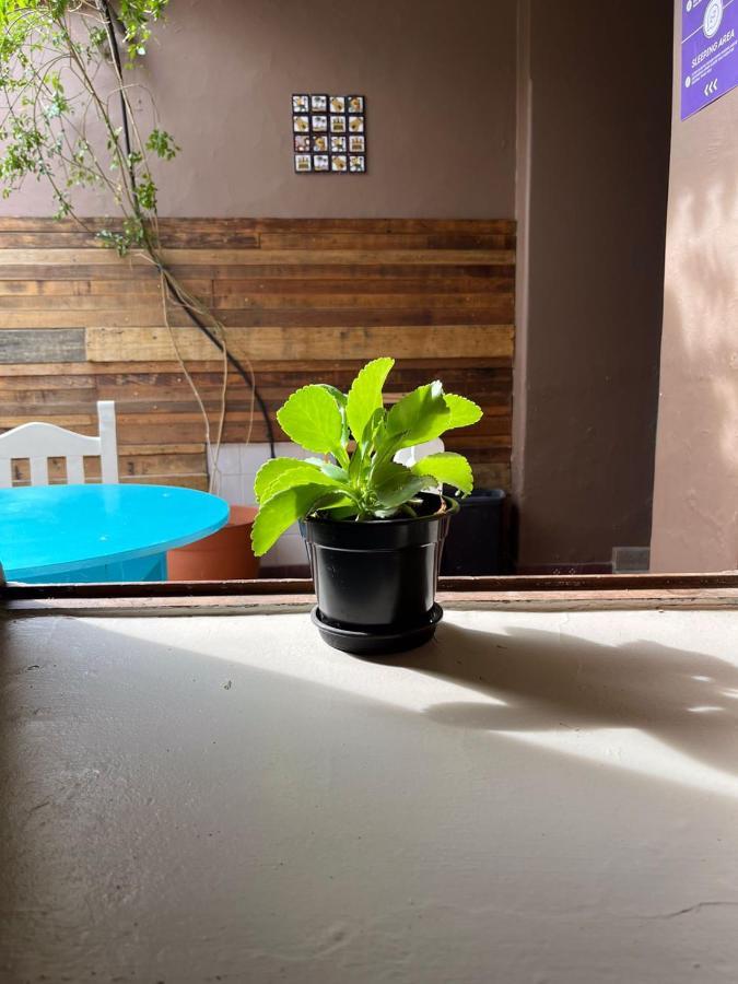 Ferienhaus Hostel Salta Salta