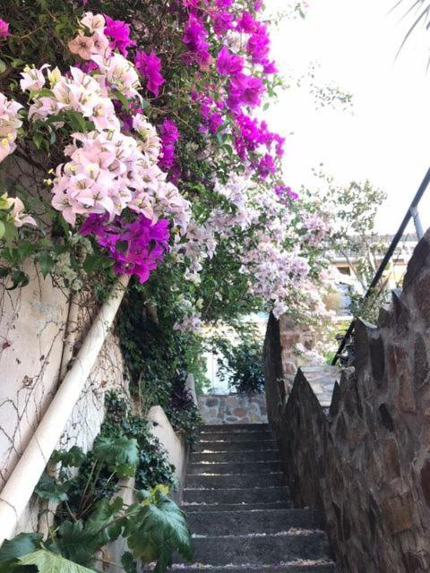 Guest house Lapacho Coliving *