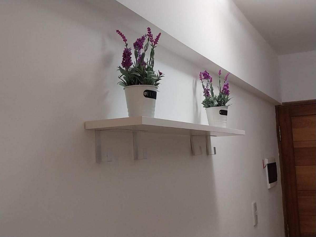 Apartamento Departamento Para 2 En *