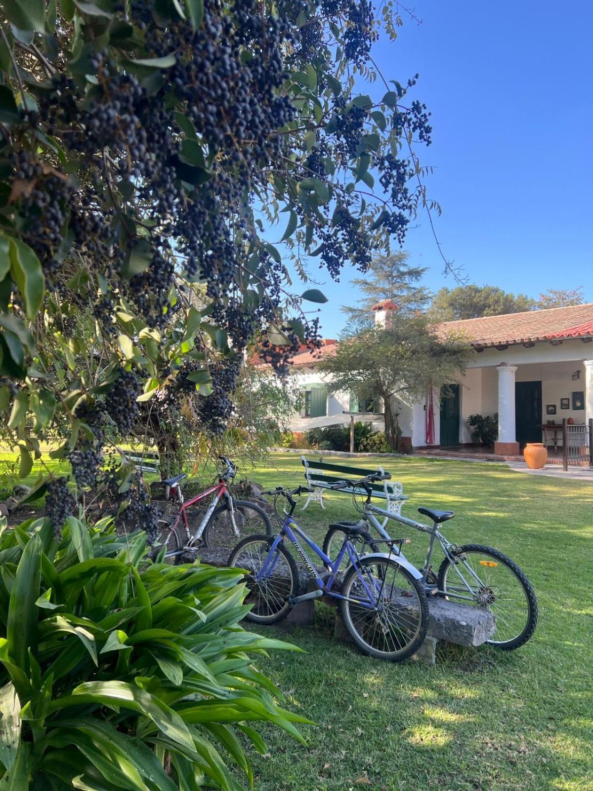 Finca La Secundina Salta
