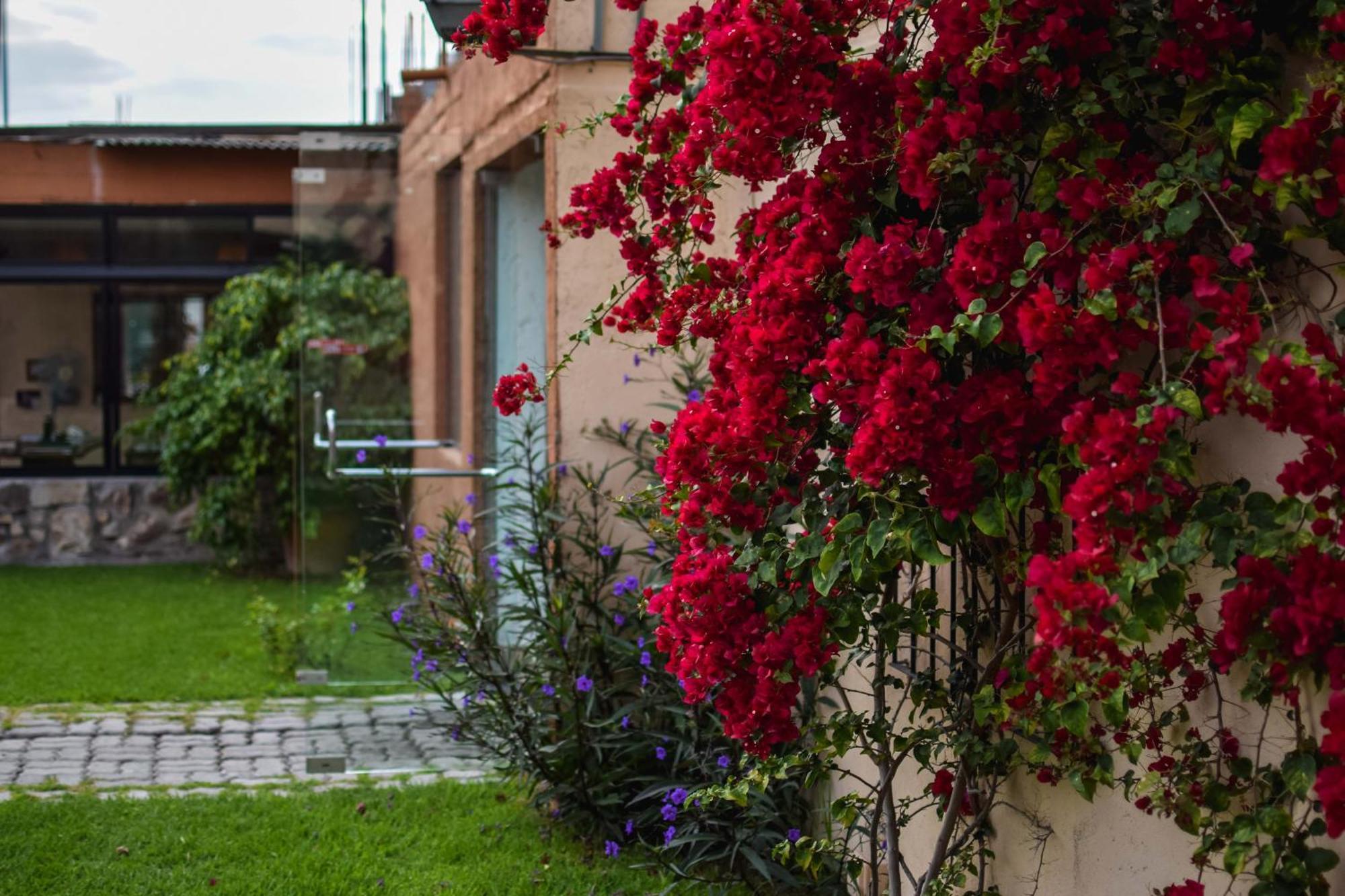 Hotel Samka