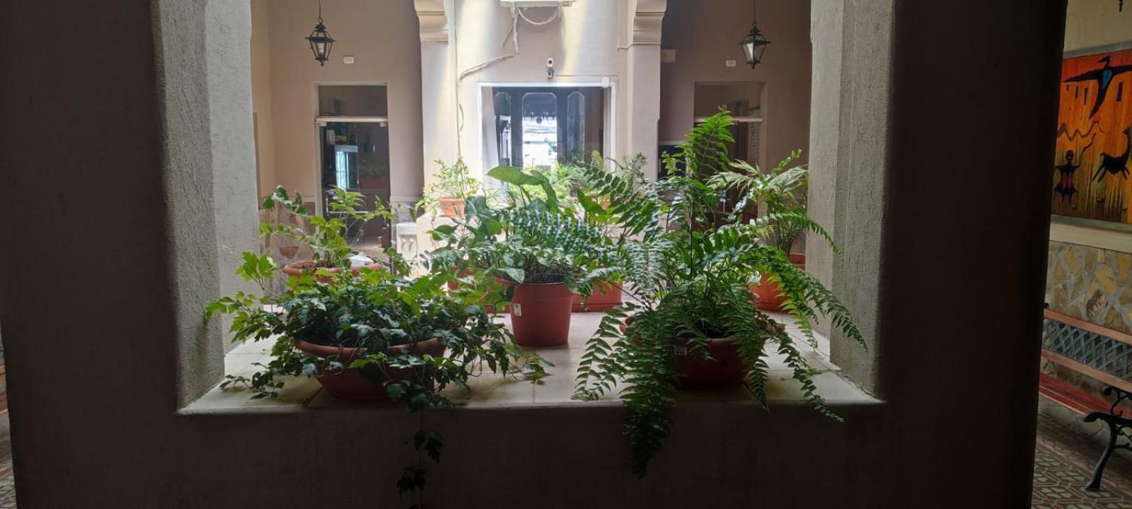 De La Linda Hotel Salta