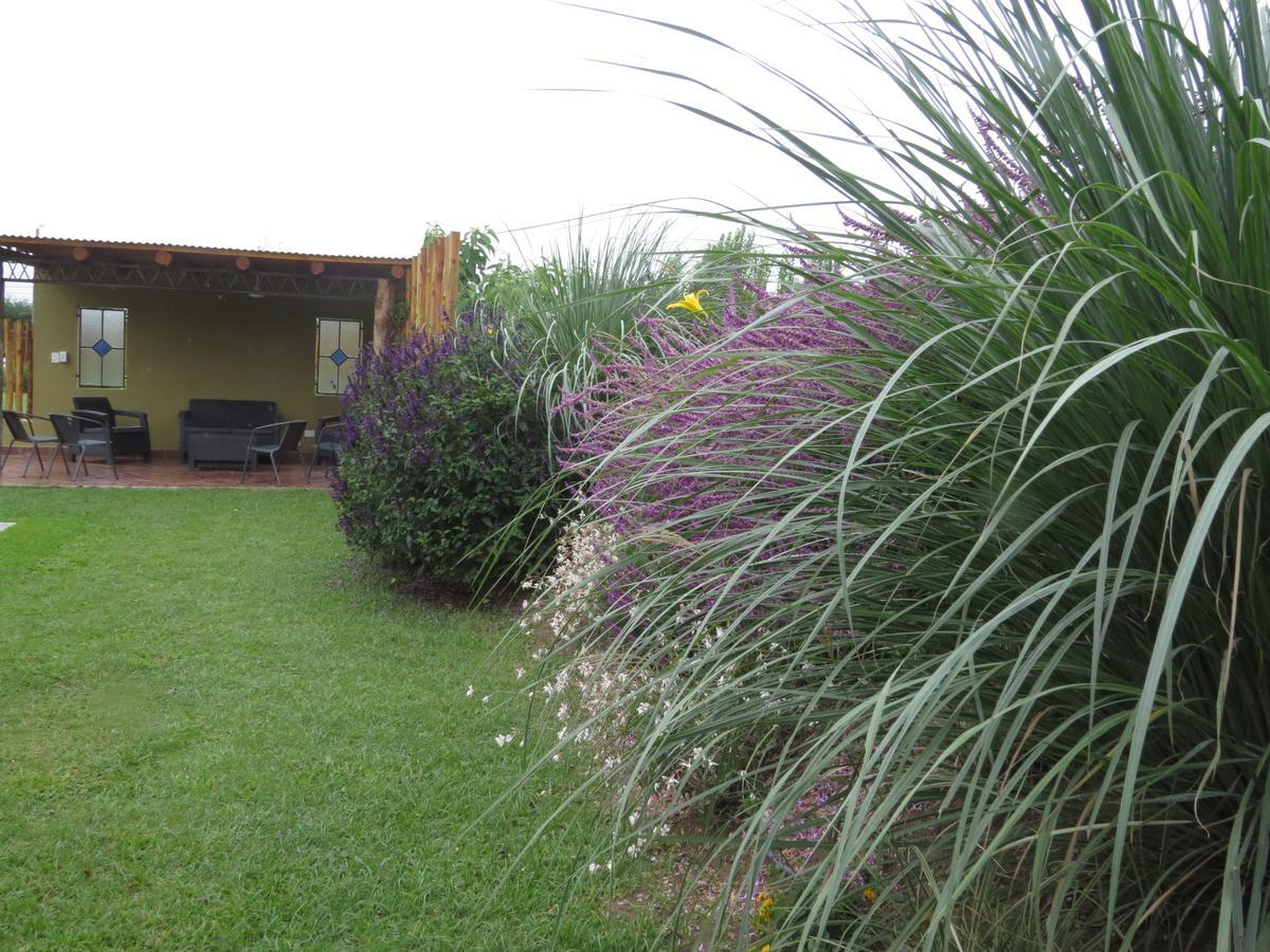 Del Santo Green&rest - Chalet *