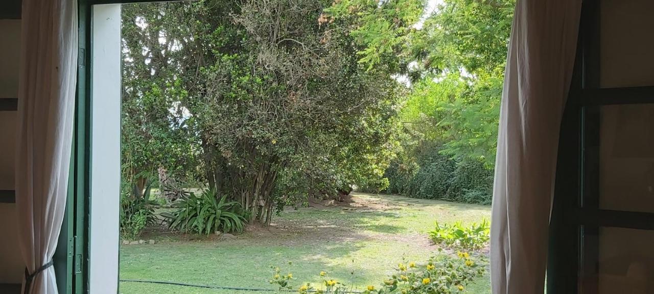 Finca La Secundina *