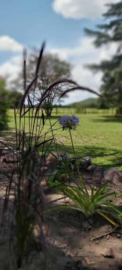 Finca La Secundina Salta