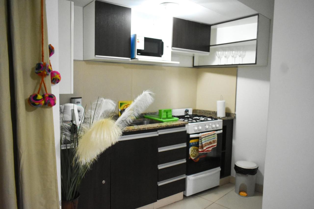Apartment Carol 6