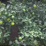 Hermosa Y Comoda Casa - El Limonero