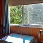 Campanita Amarilla