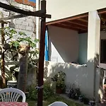 Campanita Amarilla