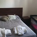 Suri