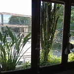 Casita, Ph En El Nuevo Casco Historico