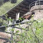 Apartamentos del Cerro