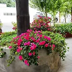 Tramas Andinas