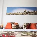 Cactus 2