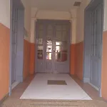 Nuevo Royal