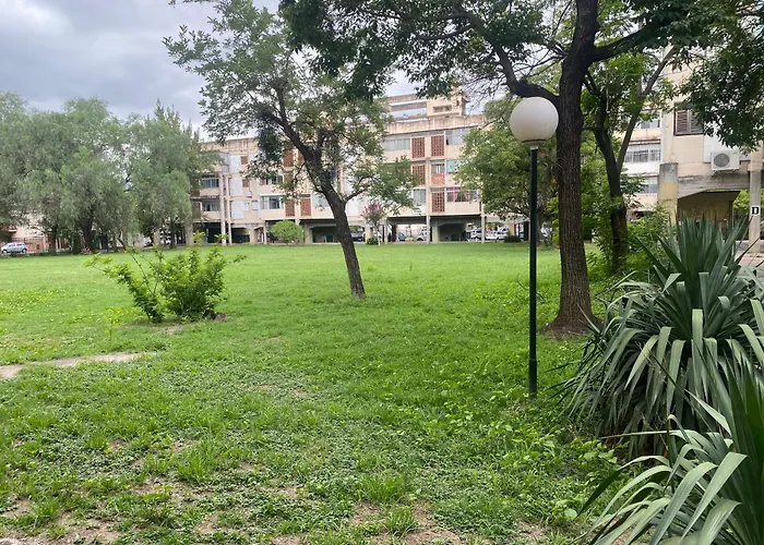 La Bonita