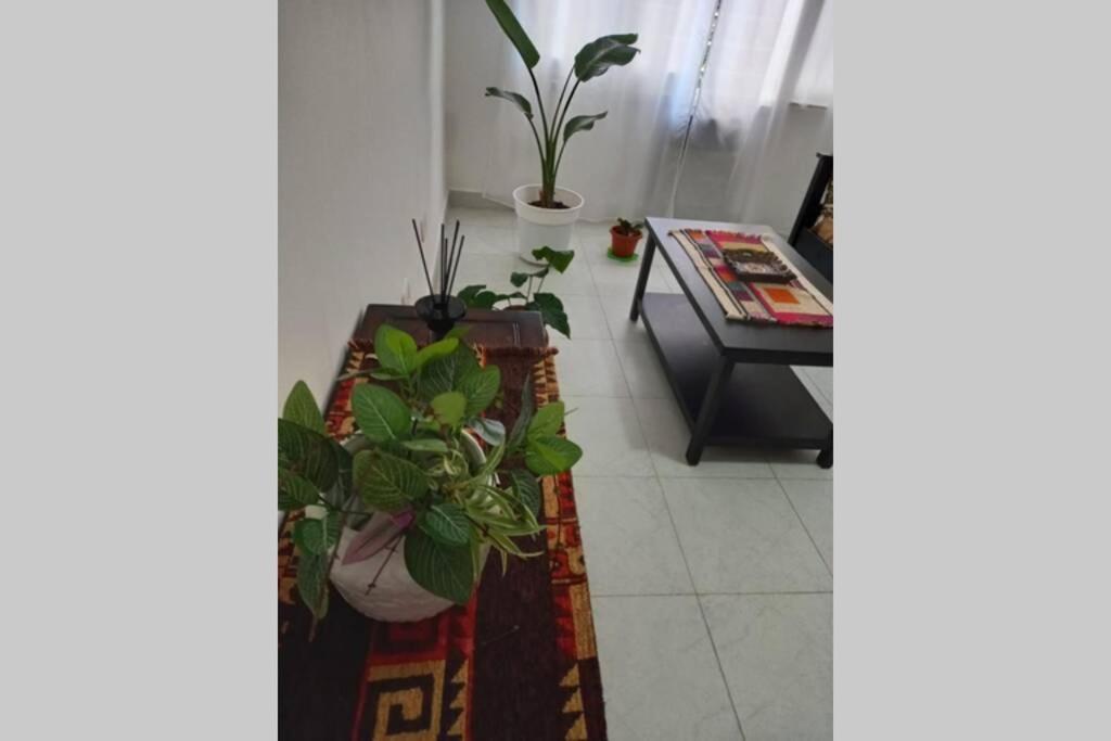Apartamento Excellent Location! Beautiful&quiet. *