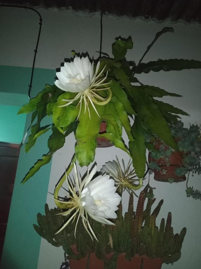 Lo De Su * Salta