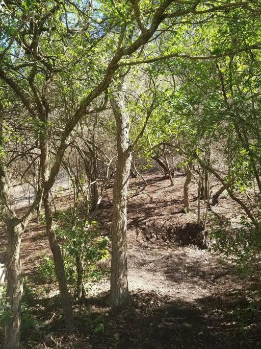 Holiday home Naturaleza Y Tranquilidad Salta