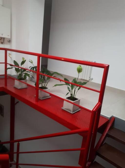 Luminoso Monoambiente En Pueyrredón Y Ameghino Apartamento Salta