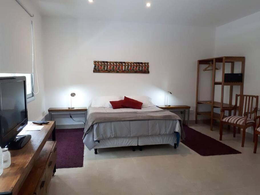Apartamento Luminoso Monoambiente En Pueyrredón Y Ameghino Salta