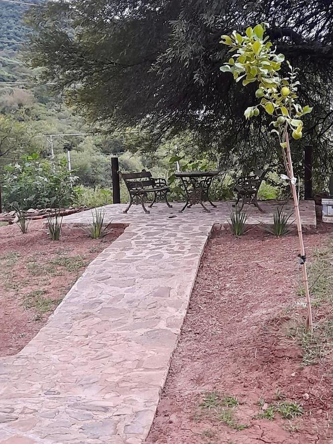 Departamento En La Naturaleza Apartamento