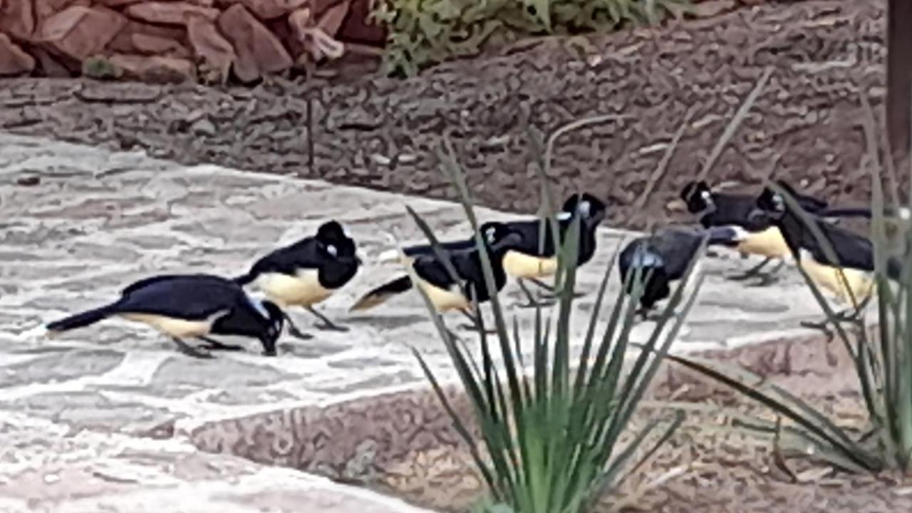 Departamento En La Naturaleza *