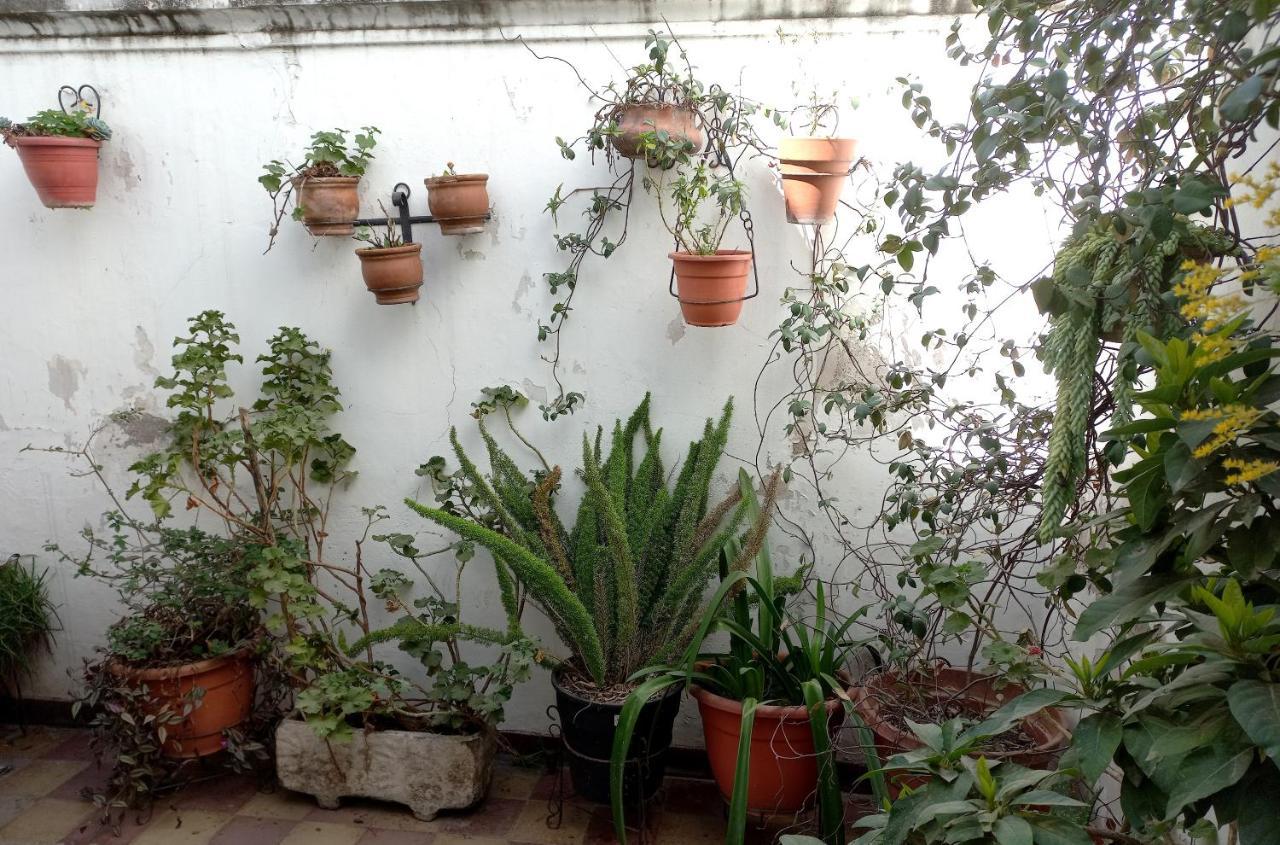 Sumaq Holiday home