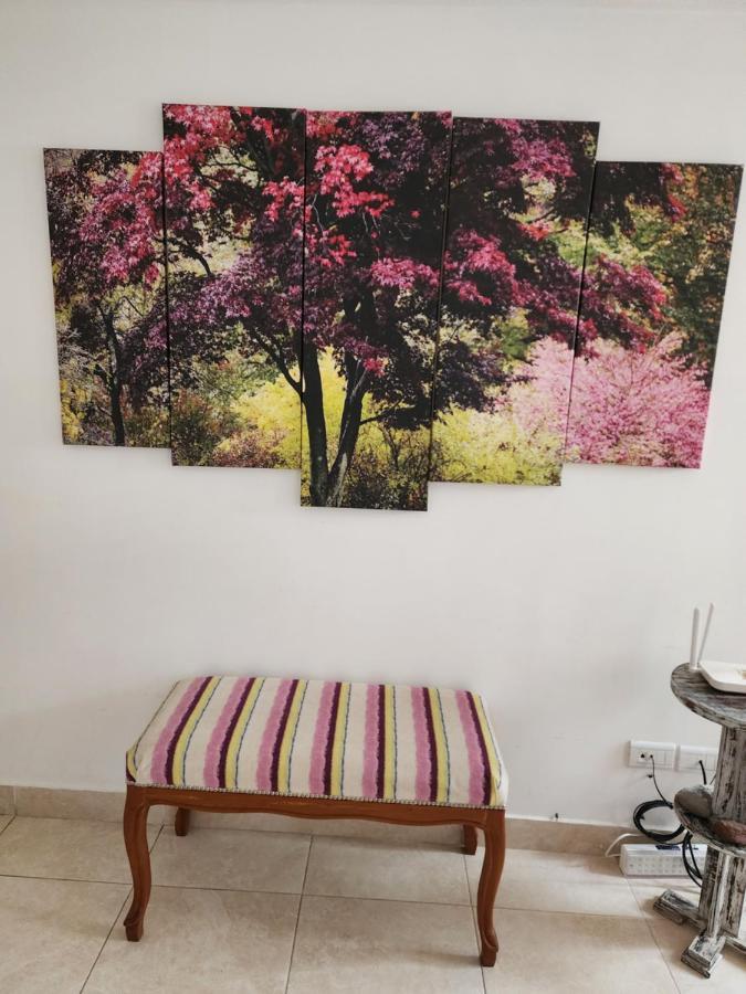 Magia Apartamento