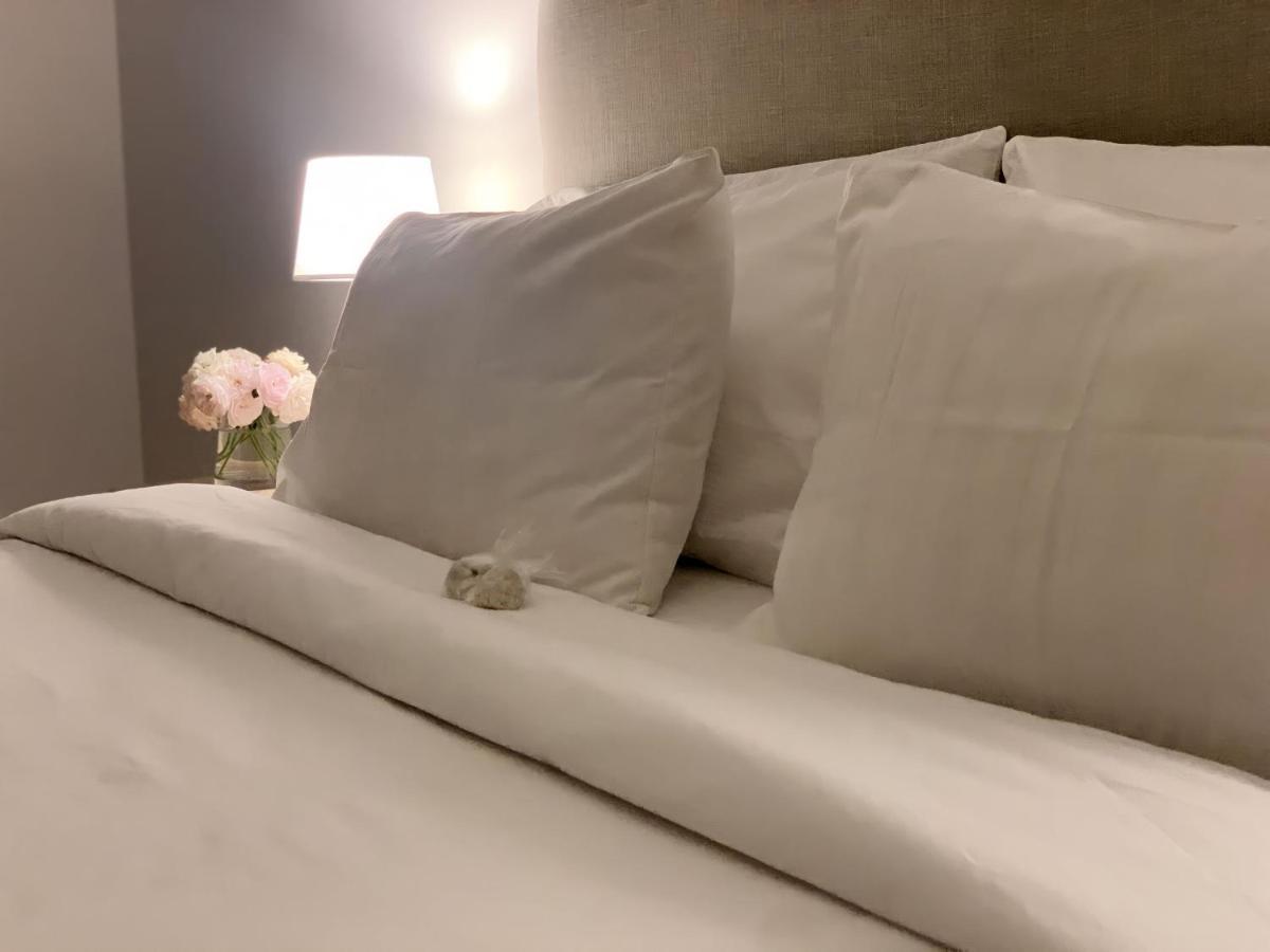 Soar Luxury En El Centro De