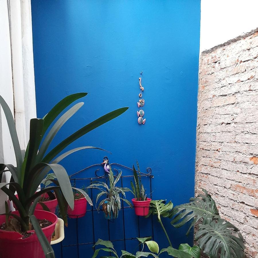 Mi Hogar Tu Hogar Salta