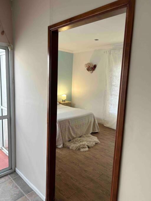 Moderno, Espacioso, Centrico, Tranquilo Apartamento