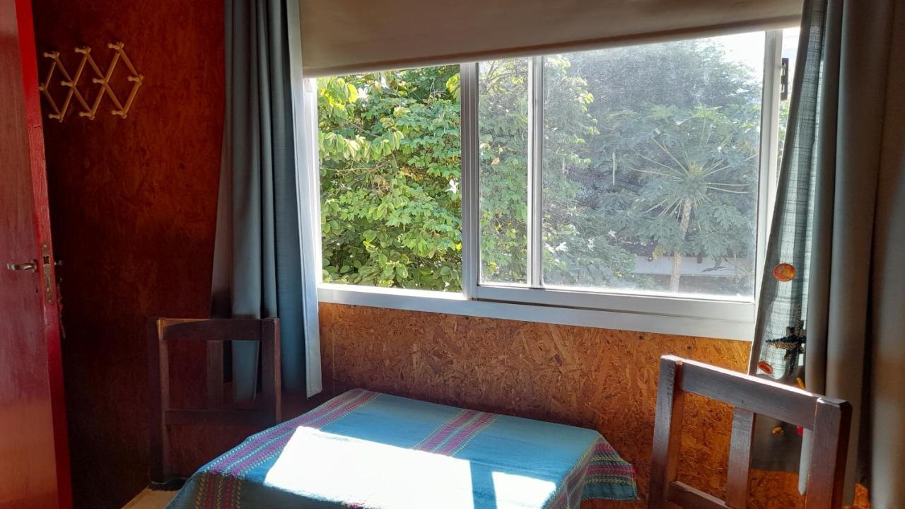 Campanita Amarilla Salta