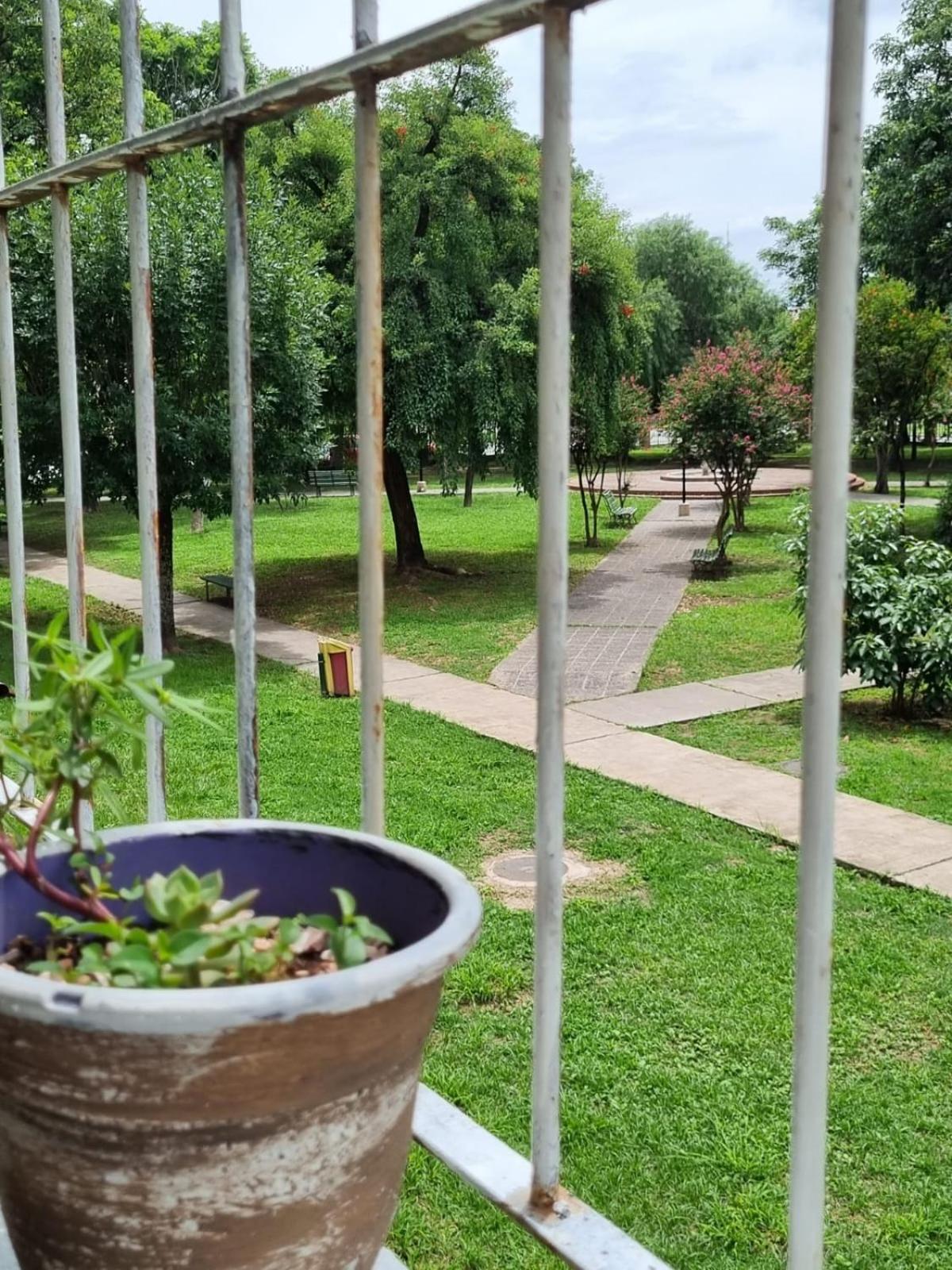 Garden Salta