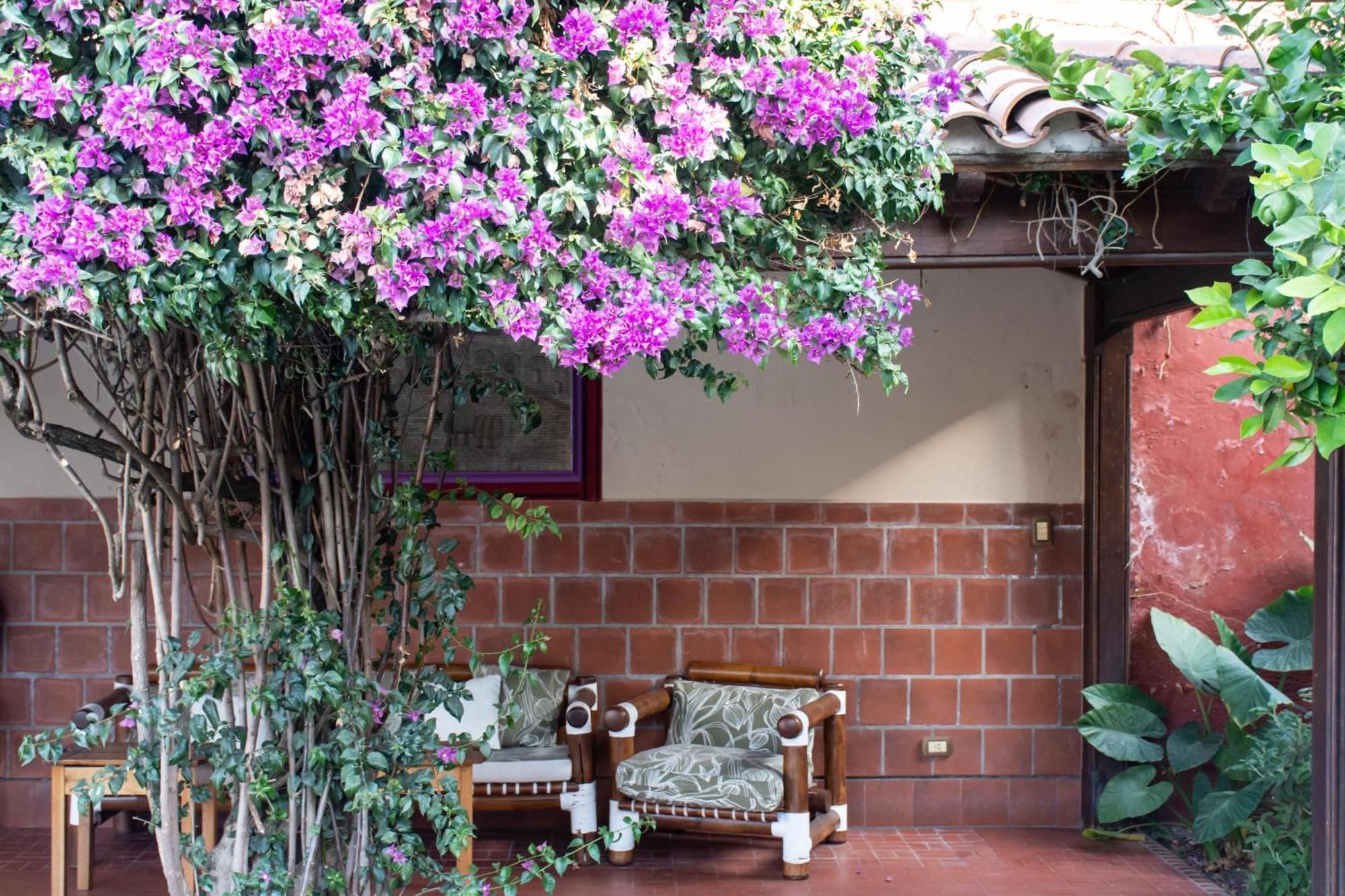 Boutique La Candela Salta
