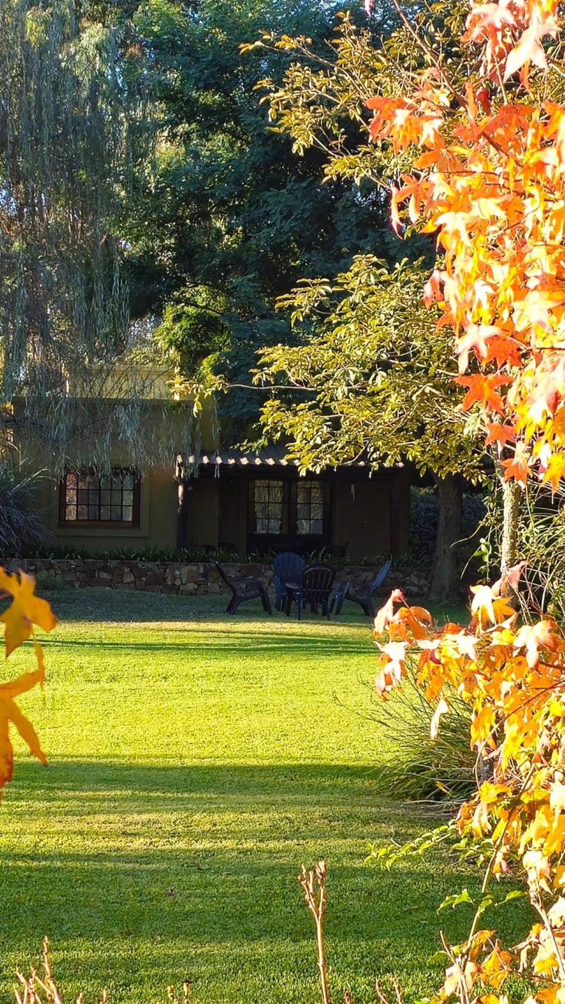 Del Santo & Rest -