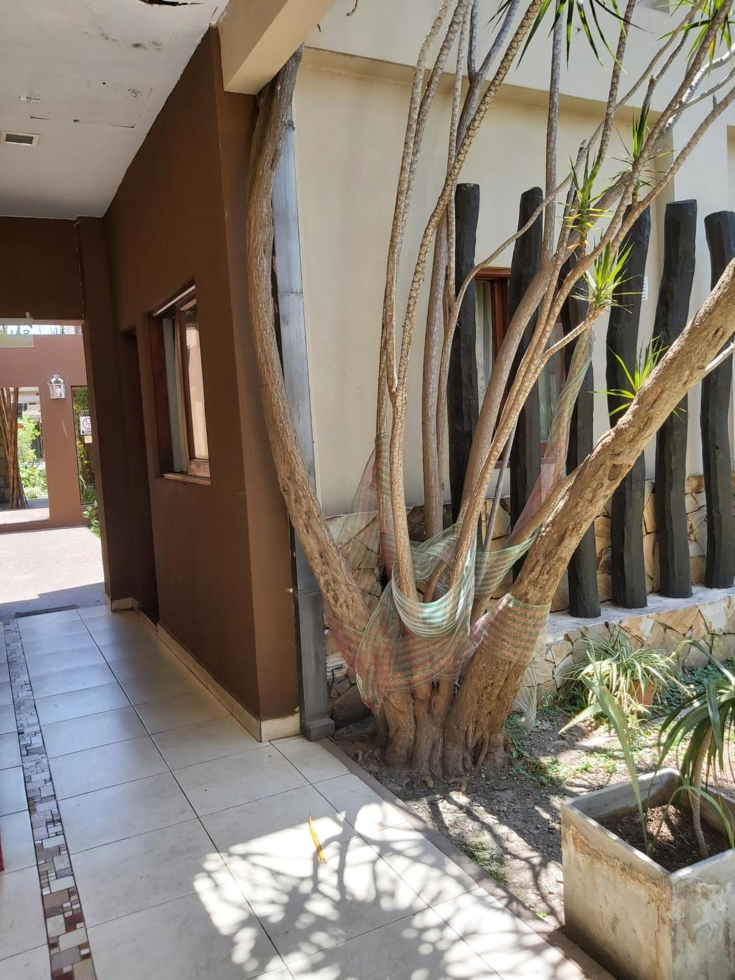 Taruca Apartment Salta