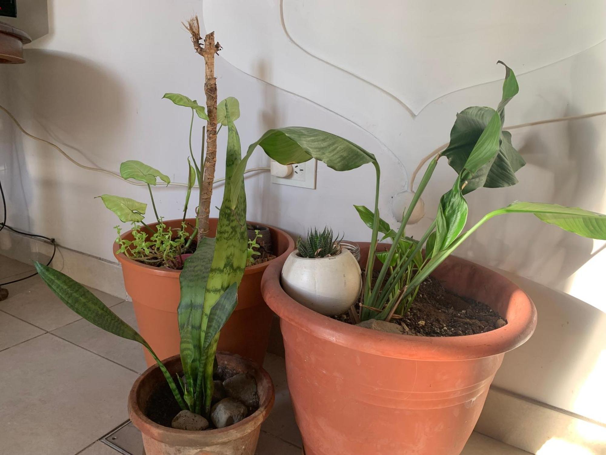 La Casita De Tere Salta