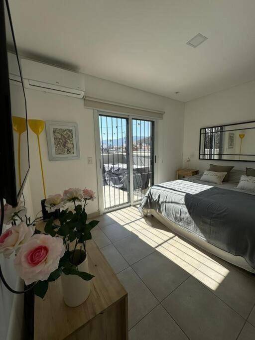 Departamento Rivadavia 4