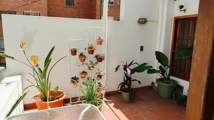 Amplio En Pleno Centro De Apartamento Salta
