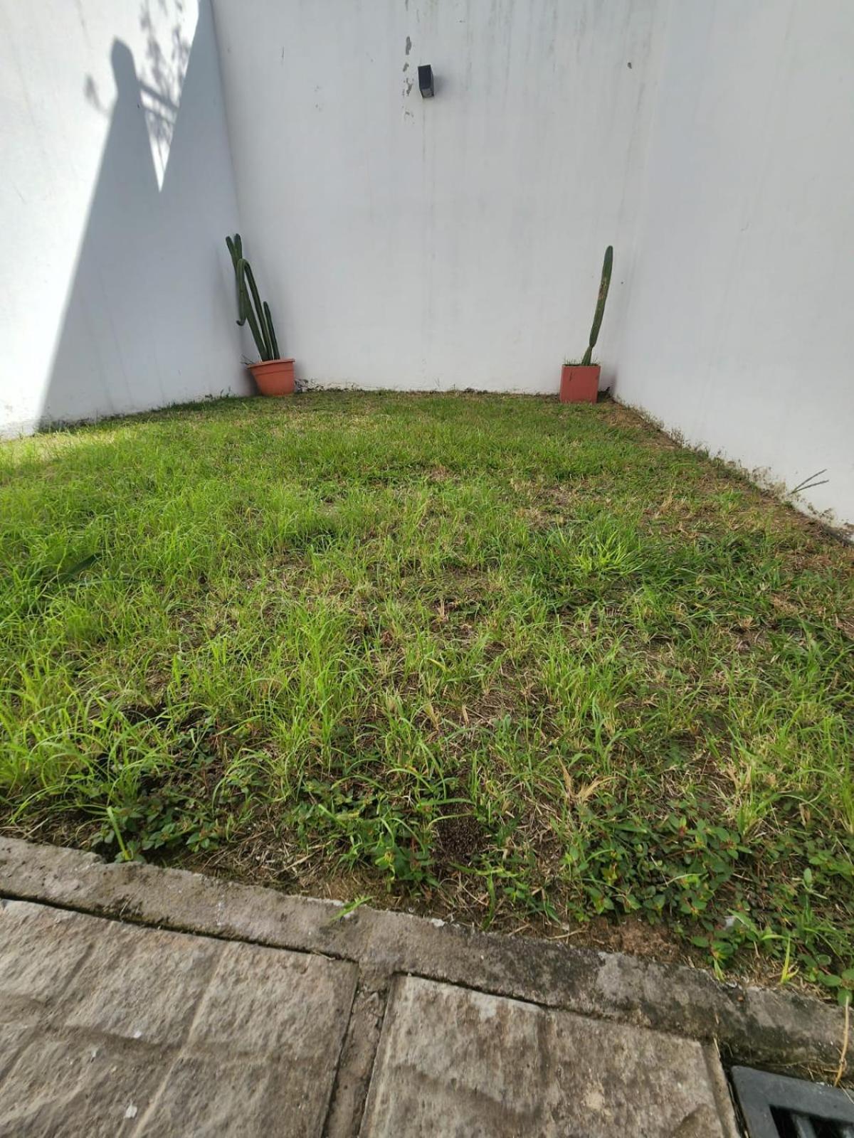 Cedros 43 Apartamento