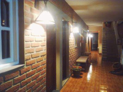 Pacha * Salta