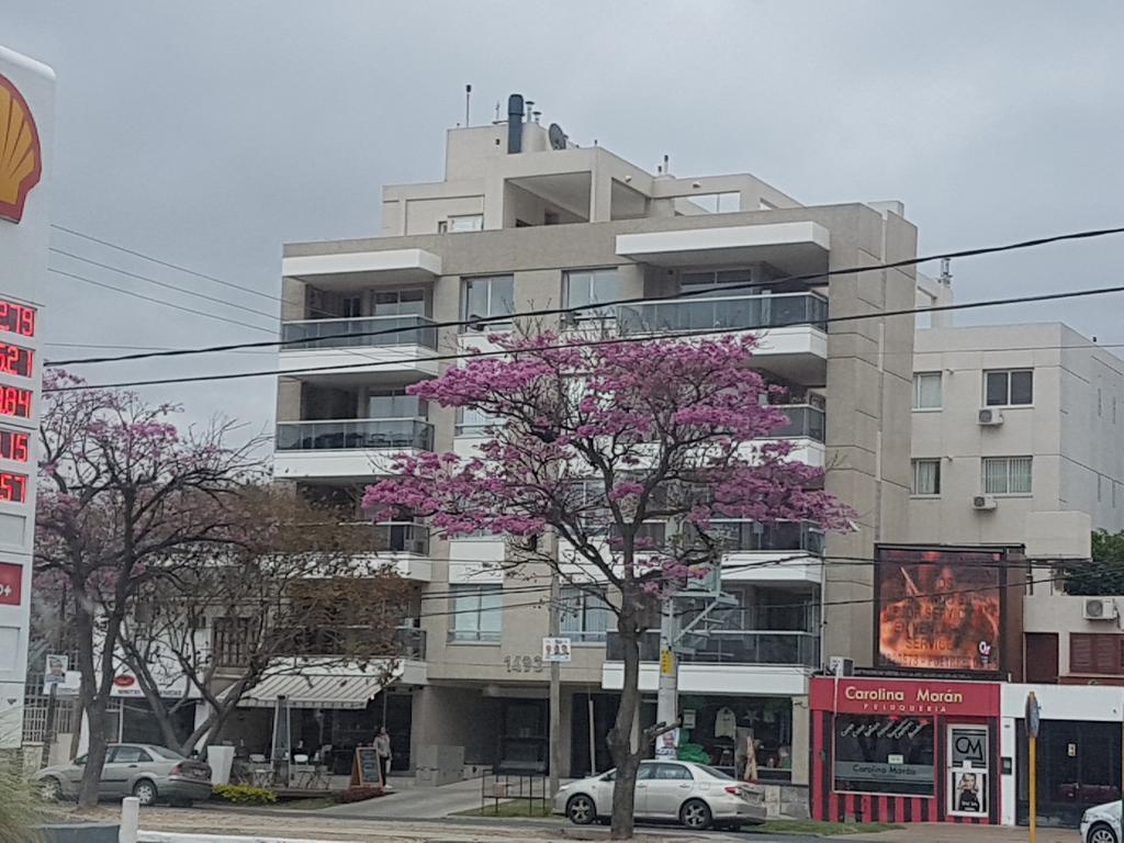 Apartamento Reyes Catolicos Salta