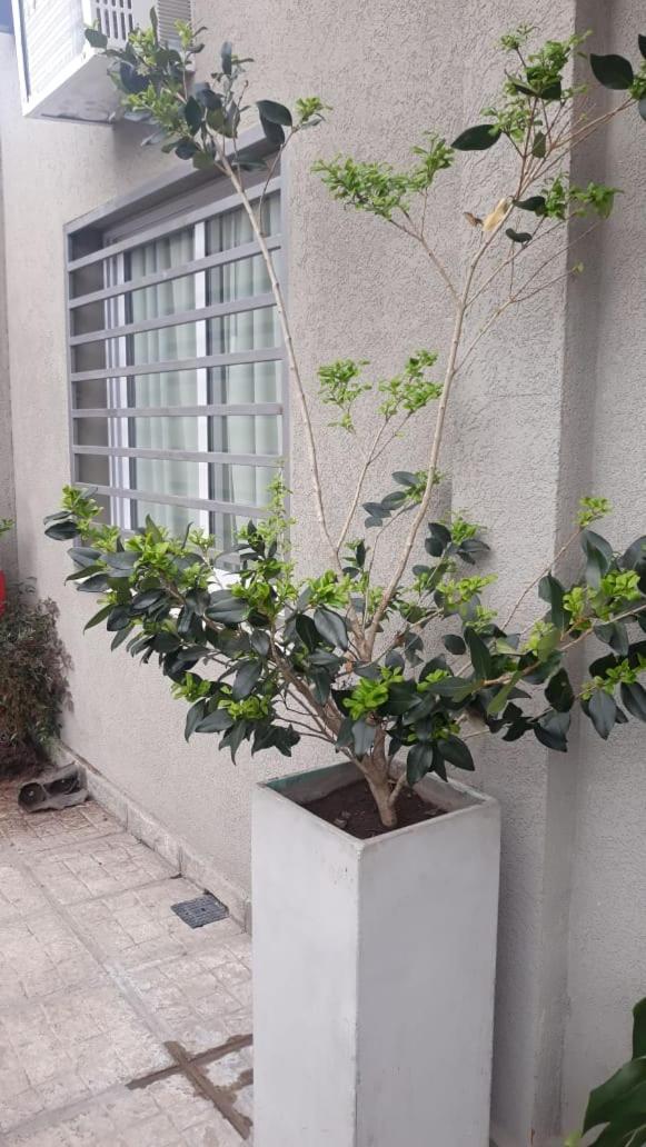 Apartamento Cedros