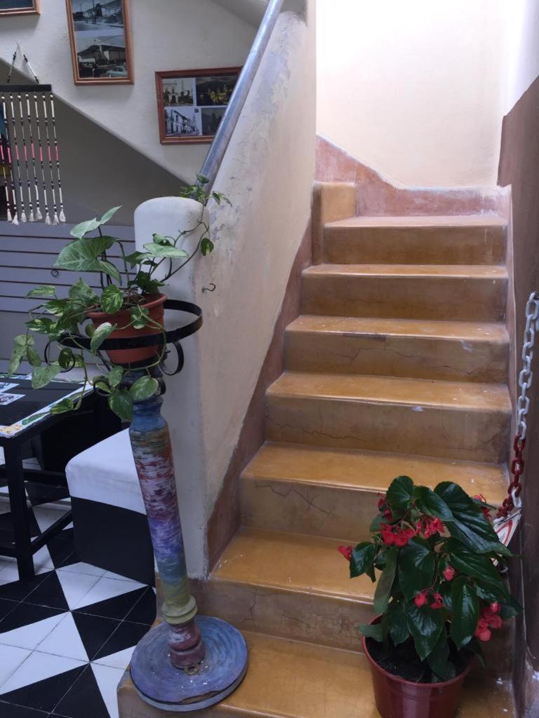 Hotel Alma Mia