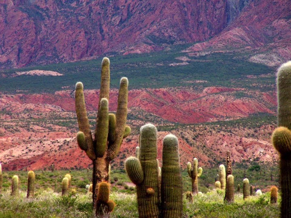 Rincón Del Cielo 2* Salta